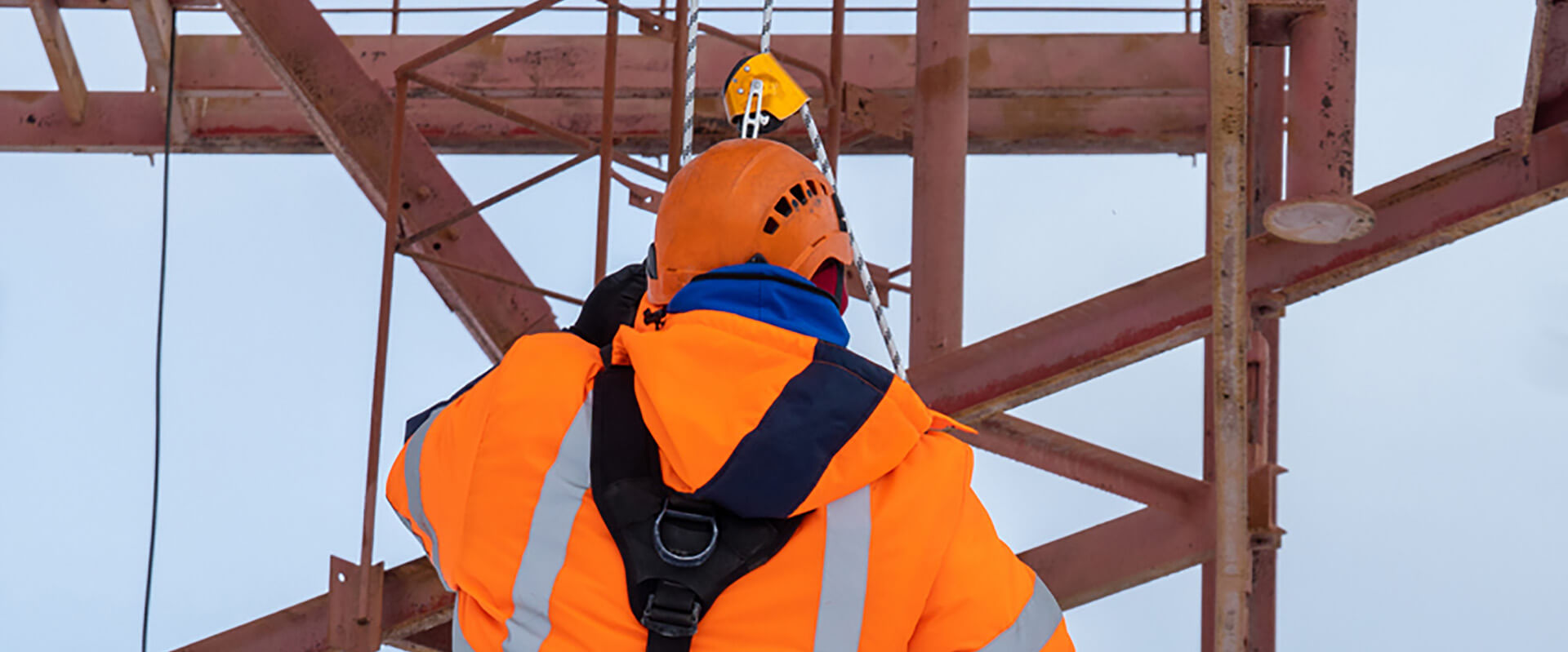 Short Courses Banner