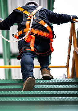 Previous Competency Licences