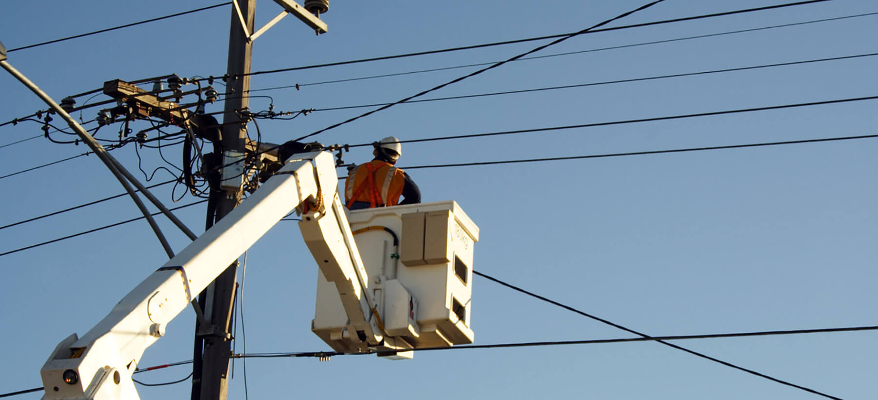 skills course banner